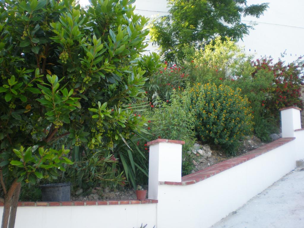 Apartamentos Rurales El Canuelo De Carcabuey Номер фото