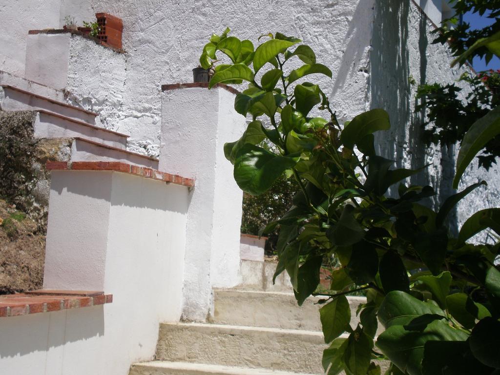 Apartamentos Rurales El Canuelo De Carcabuey Номер фото